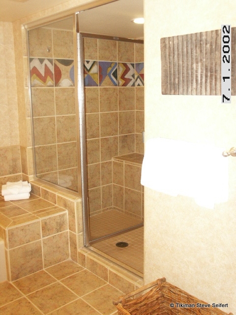 One-bedroom Suite shower